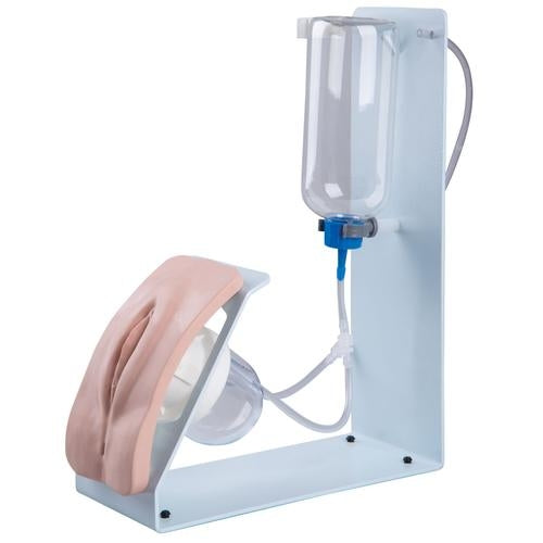 Female Catheter Simulator Basic