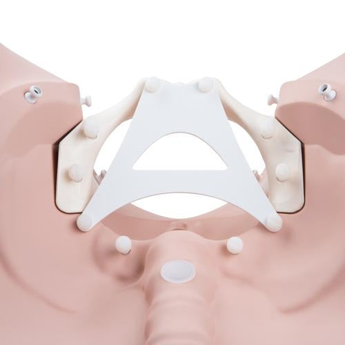 Birth Stage Trainer