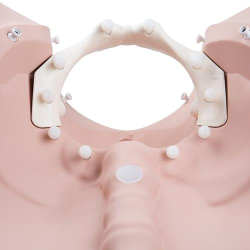 Birth Stage Trainer