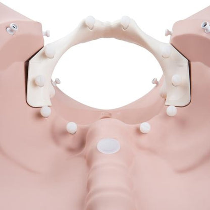 Birth Stage Trainer