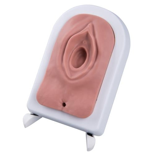 Episiotomy and Suturing Trainer