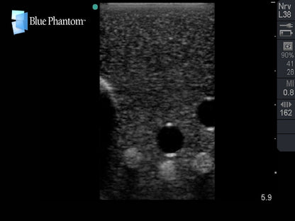 Blue Phantom Ultrasound Training Model Central Line and Regional Anesthesia
