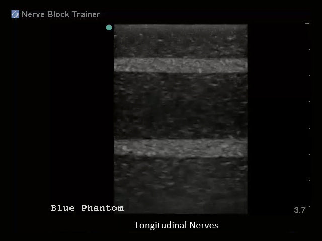 Blue Phantom Ultrasound Training Block Regional Anesthesia