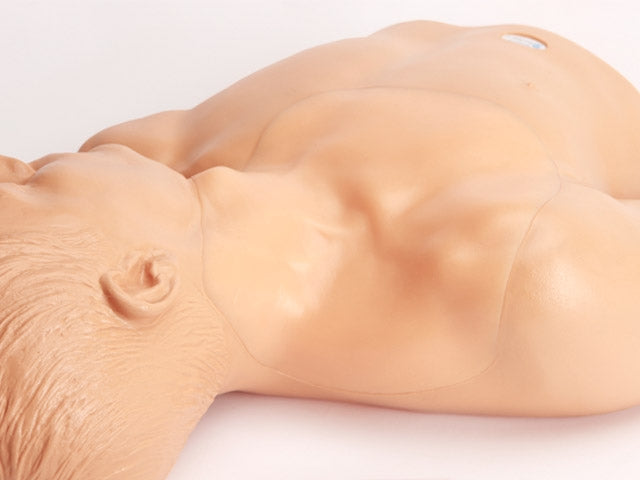 Blue Phantom Ultrasound Training Model Central Line and Regional Anesthesia