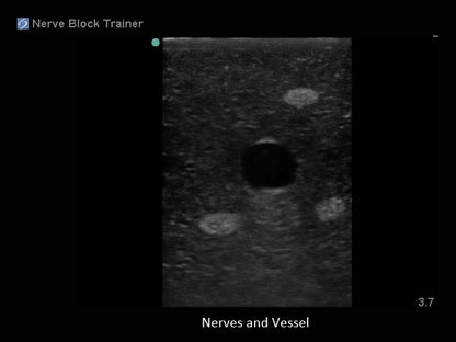 Blue Phantom Ultrasound Training Block Regional Anesthesia